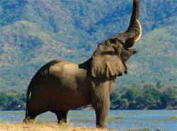 The Best Of Kenya & Tanzania - 2012
